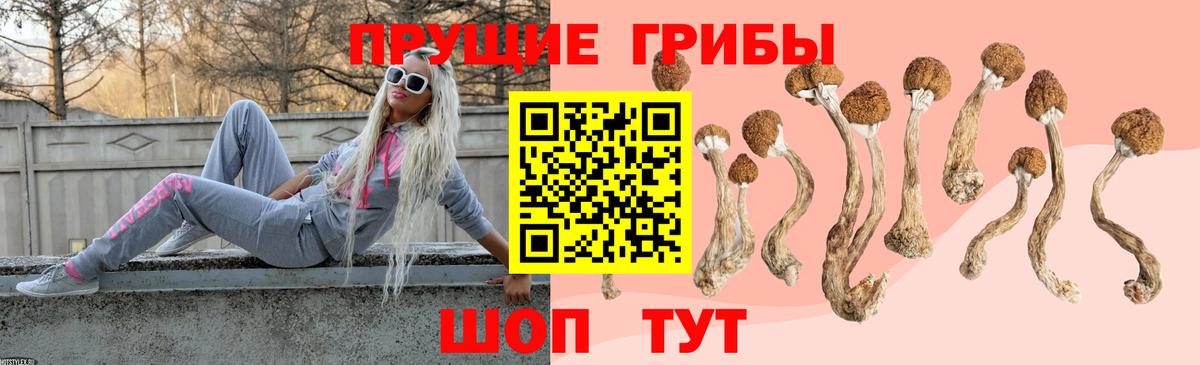 Майкоп  Псилоцибиновые грибы мухоморы  Вход с VPN 